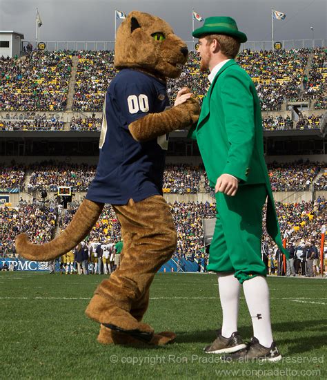 The Notre Dame Fighting Irish Mascot and the University's Reputation in College Athletics